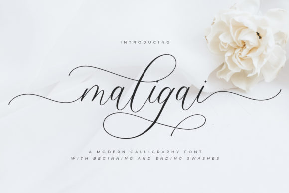 Maligai: A Romantic Script Typeface
